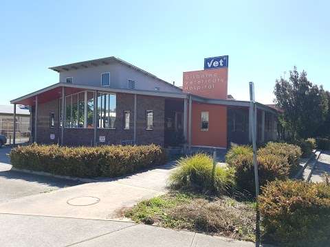 Photo: Gisborne Veterinary Clinic